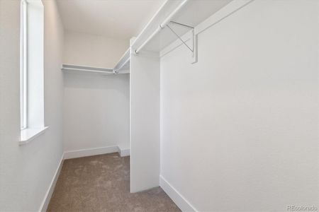 New construction Duplex house 3430 W 25Th Ave, Denver, CO 80211 null- photo 24 24