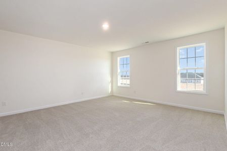 New construction Single-Family house 32 Littlefield Ln, La Grange, NC 28551 - image 17
