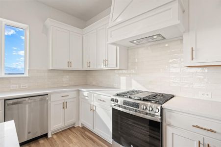 New construction Single-Family house 412 Caprock Ln, Reno, TX 76020 - image 9