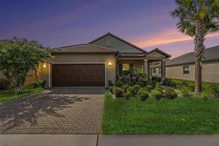New construction Single-Family house 10514 Banyan Breeze Blvd, Land O' Lakes, FL 34638 - image