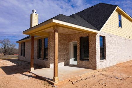 New construction Single-Family house 241 Zebrastone Way, Poolville, TX 76487 null- photo 11 11