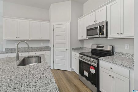 New construction Single-Family house 16945 Nw 176Th Wy, Alachua, FL 32615 plan 1635-C - image 12