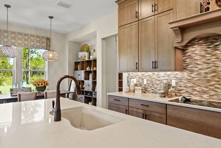 New construction Single-Family house 41 Seabrook Village Ave, Nocatee, FL 32081 plan The Manatee - image 5