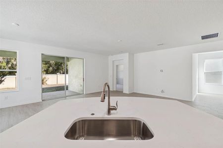 New construction Single-Family house 19689 Fort King Run, Brooksville, FL 34601 - image 19