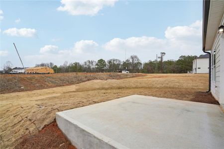 New construction Single-Family house 2026 Avalon Rdg, Conyers, GA 30013 Sydney- photo 31 31