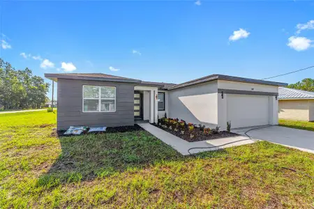 New construction Single-Family house 64 Pecan Run, Ocala, FL 34472 - image