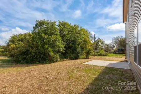 New construction Single-Family house 1681 Woolie Rd, Lincolnton, NC 28092 - image 3