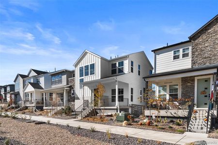 New construction Duplex house 7264 Watercress Dr, Littleton, CO 80125 - image 4