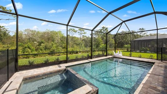 Harbor East: Estate Homes 5