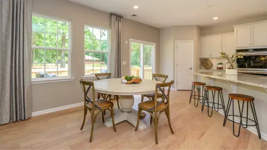 Elizabeth: Enclave by Lennar in Fort Mill - photo 40 40