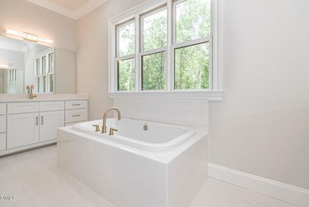 New construction Single-Family house 349 Brook Green Ln, Unit 19, Pittsboro, NC 27312 - image 17