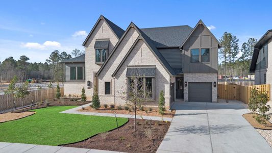 New construction Single-Family house 41696 Wendele Wy, Montgomery, TX 77316 plan Rialto - image