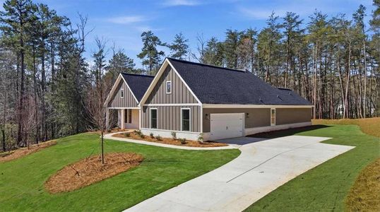 New construction Single-Family house 125 Scarlett Pippin Dr, Clarkesville, GA 30523 - image