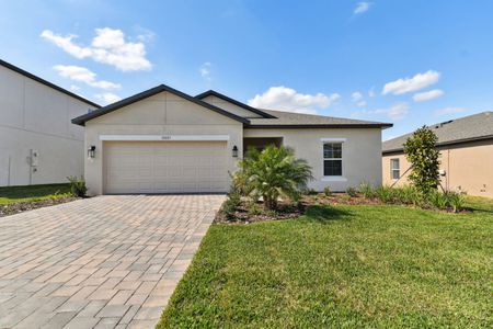 New construction Single-Family house 12227 Hilltop Farms Dr, Dade City, FL 33525 Sentinel- photo 176 176