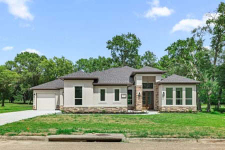 New construction Single-Family house 220 Birdie Dr, Hempstead, TX 77445 - image