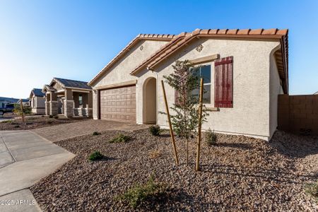 New construction Single-Family house 40532 W Wade Dr, Maricopa, AZ 85138 Agate- photo 30 30