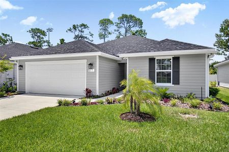 New construction Single-Family house 7 Signet Ct, Flagler Beach, FL 32136 - image