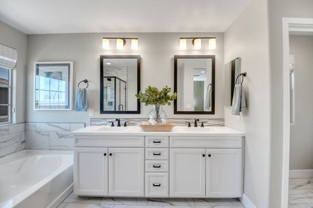 New construction Single-Family house 43230 N Hinoki St, Queen Creek, AZ 85140 Region- photo 39 39