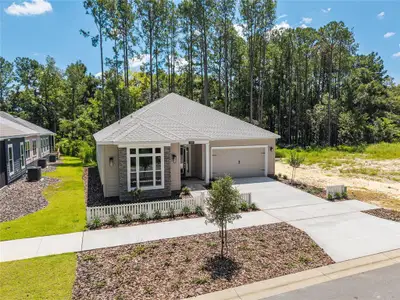 New construction Single-Family house 939 Nw 132Nd Blvd, Newberry, FL 32669 - image