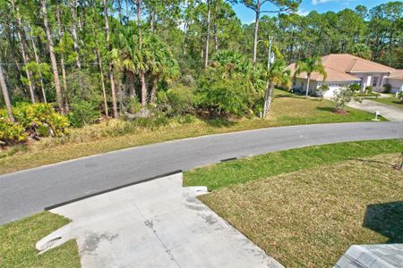 New construction Single-Family house 158 Palmwood Dr, Palm Coast, FL 32164 null- photo 69 69