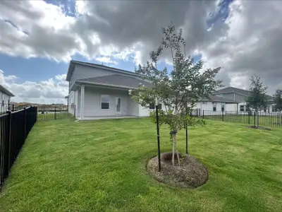 New construction Single-Family house 17120 Lomond Wy, Pflugerville, TX 78660 plan The Pearl (452) - image