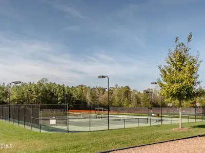 New construction Single-Family house 60 Willow Creek Ct, Pittsboro, NC 27312 - image 17