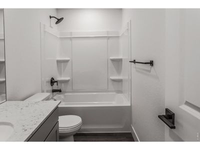 New construction Single-Family house 981 Trumpet Ln, Windsor, CO 80550 - image 12