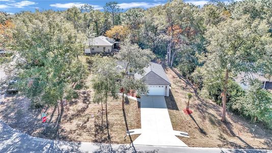 New construction Single-Family house 19610 Sw 93Rd Pl, Dunnellon, FL 34432 null- photo 41 41