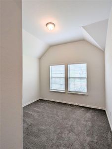 New construction Single-Family house 3934 Timberview St, Midlothian, TX 76065 plan Premier Series - Juniper - image 15
