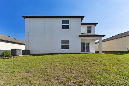 New construction Single-Family house 12219 Hilltop Farms Dr, Dade City, FL 33525 Malibu- photo 268 268