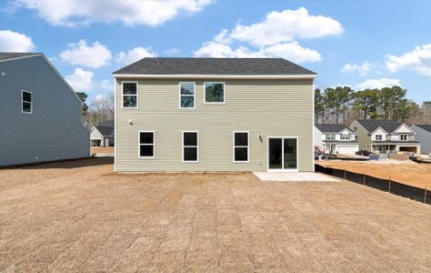 New construction Single-Family house 204 Palfrey Dr, Ridgeville, SC 29472 Davidson- photo 23 23