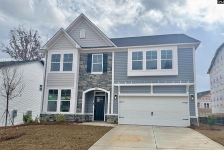 New construction Single-Family house 567 Griffon Dr, Chapin, SC 29036 plan Porter II - image