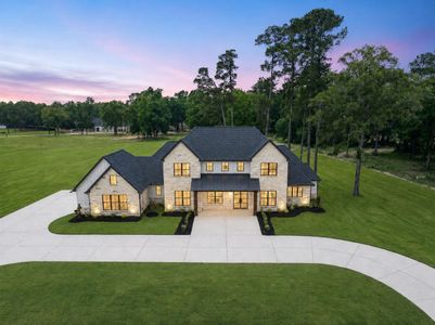 New construction Single-Family house 18284 Woodstream Crossing Rd, Montgomery, TX 77316 - image