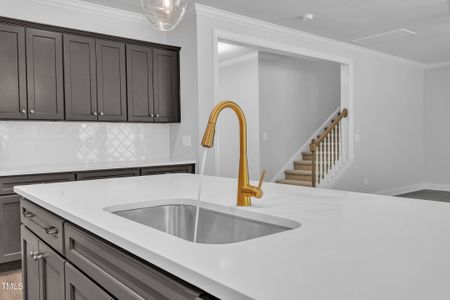 New construction Single-Family house 9164 Dupree Meadow Dr, Unit 14, Angier, NC 27501 - image 15