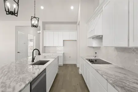 New construction Single-Family house 270 Maci Dr, Waxahachie, TX 75167 plan Hillside - image 3