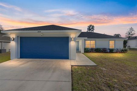 New construction Single-Family house 2844 Sw 164Th Street Rd, Ocala, FL 34473 - image