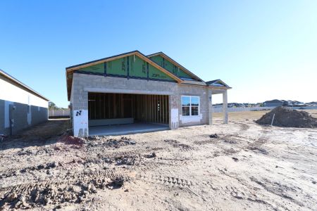 New construction Single-Family house 3142 Adams Cross Dr, Zephyrhills, FL 33540 Picasso- photo 48 48