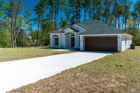 New construction Single-Family house 16559 Sw 48Th Ter, Ocala, FL 34473 - image