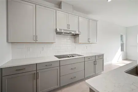 New construction Single-Family house 2953 Stewart Creek Cir, Plant City, FL 33565 - image 3