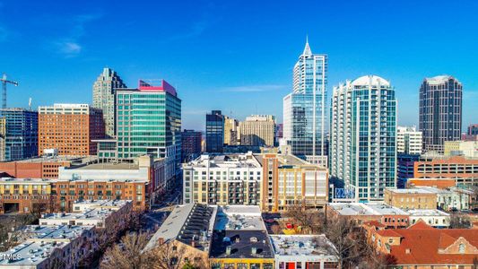 raleigh skyline_RSFL