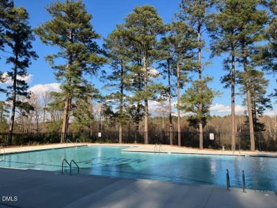 New construction Single-Family house 212 Blue Sky Ln, Louisburg, NC 27549 plan Solstice - image 14