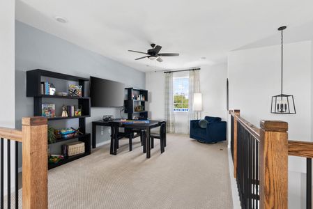 New construction Single-Family house 2728 Cressman Cv, Round Rock, TX 78665 Garner- photo 31 31