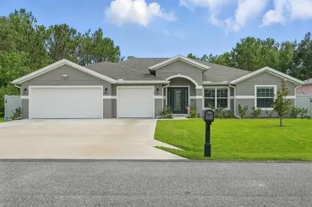 New construction Single-Family house 12 Buffalo Berry Pl, Palm Coast, FL 32137 - image