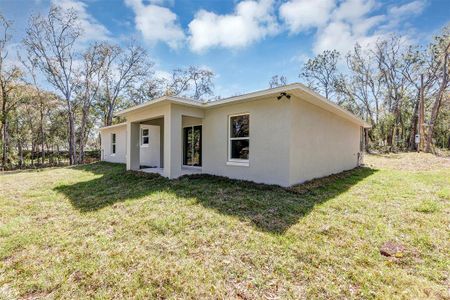 New construction Single-Family house 1205 2Nd St, Orange City, FL 32763 null- photo 18 18