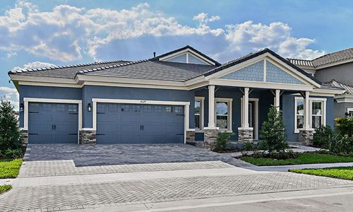 New construction Single-Family house 35072 Big Hawk Dr, Zephyrhills, FL 33541 null- photo 0