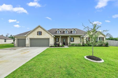 New construction Single-Family house 9602 Sweet Tea Ln, Needville, TX 77461 - image