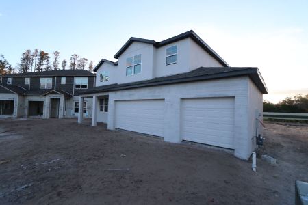 New construction Single-Family house 20131 Oriana Loop, Land O' Lakes, FL 34638 Sonoma II- photo 124 124