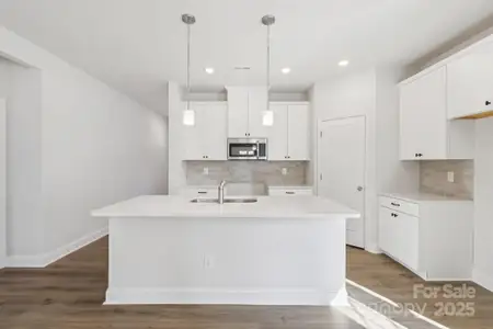 New construction Single-Family house 10936 Dogwood Ln, Unit 50, Huntersville, NC 28078 - image 4