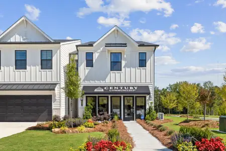 New construction Townhouse house 7341 Mulberry Trace Ln, Flowery Branch, GA 30542 plan Sawnee - image