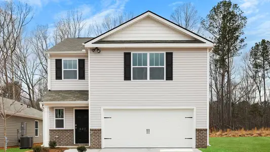 New construction Single-Family house 804 S Ivyblake Ct, Woodruff, SC 29388 plan Darwin - image